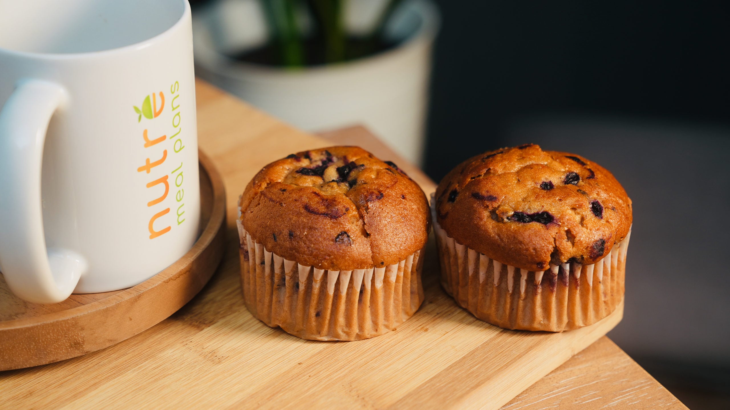 Gluten Free Wild Blueberry Muffins